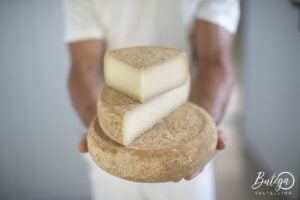 Formaggi di capra