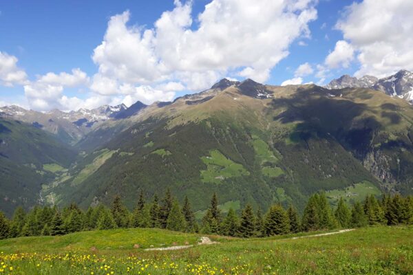 Vista_dal_campo_di_genepì2